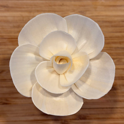 Floral-shaped light fixture on a wooden background
