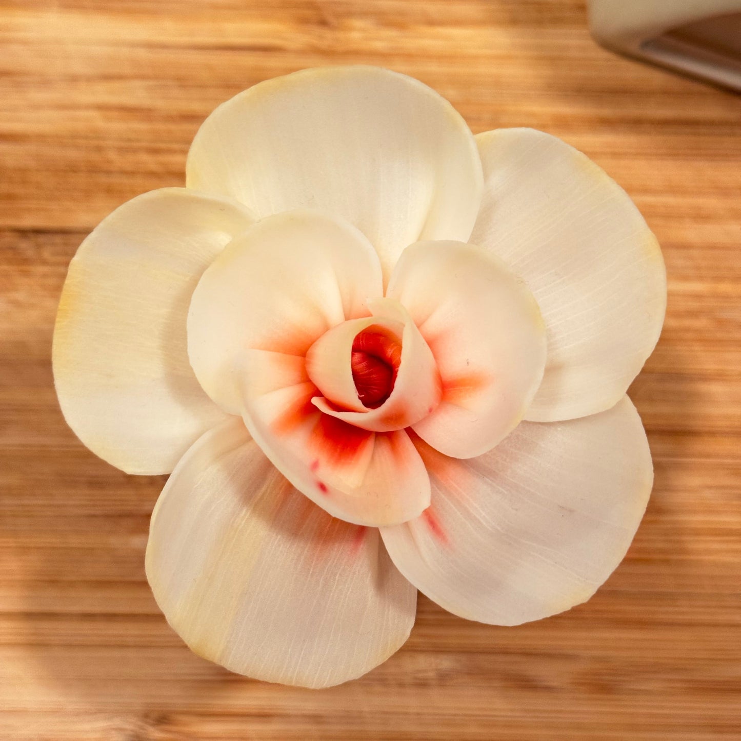 White orchid flower on a wooden surface
