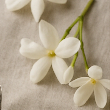 Vanilla & Jasmine Luxury Reed Diffuser 150ml | Long-Lasting Home Fragrance